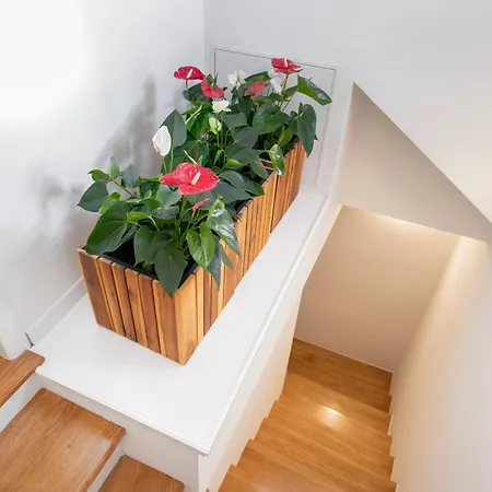 Palazzo Maineri Luxury Loft Apartment Dubrovnik Exterior photo